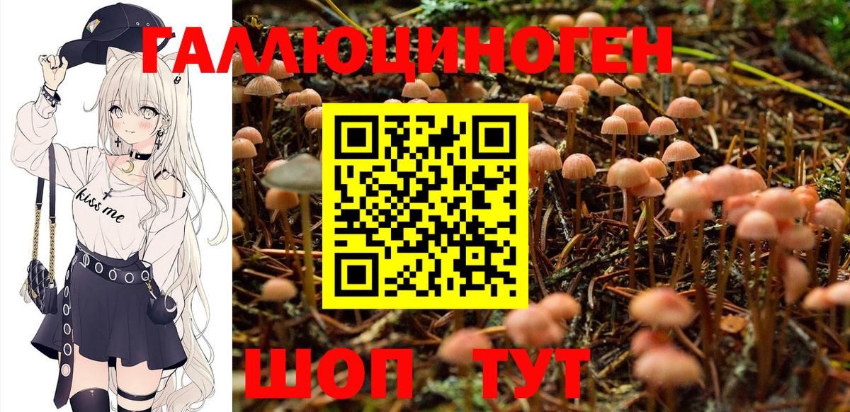 Псилоцибиновые грибы Magic Shrooms Татарск