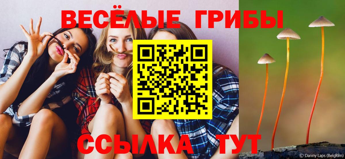 Татарск  Галлюциногенные грибы мицелий  Вход с VPN 